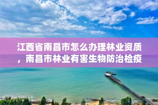 江西省南昌市怎么办理林业资质，南昌市林业有害生物防治检疫局