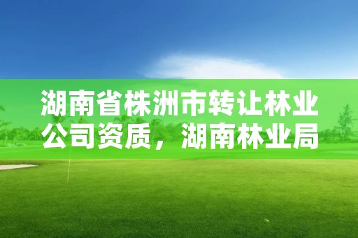 湖南省株洲市转让林业公司资质，湖南林业局苗木采购