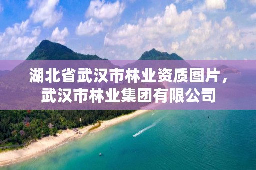 湖北省武汉市林业资质图片，武汉市林业集团有限公司