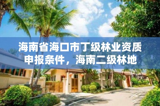 海南省海口市丁级林业资质申报条件，海南二级林地