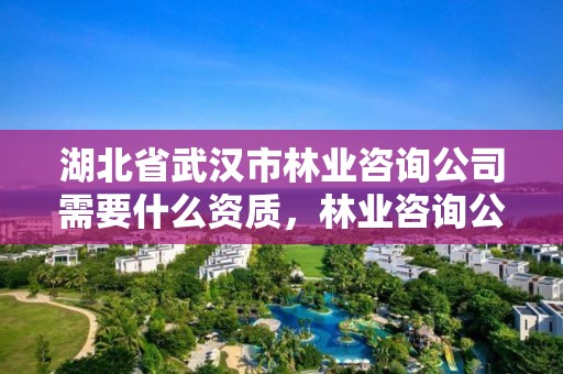 湖北省武汉市林业咨询公司需要什么资质，林业咨询公司经营范围