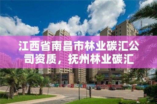 江西省南昌市林业碳汇公司资质，抚州林业碳汇