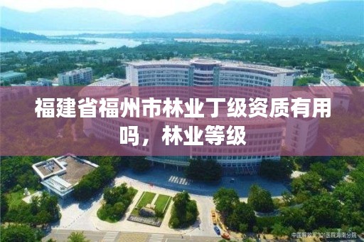 福建省福州市林业丁级资质有用吗，林业等级