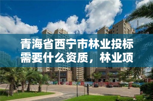 青海省西宁市林业投标需要什么资质，林业项目招投标规定