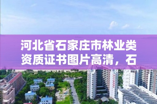 河北省石家庄市林业类资质证书图片高清，石家庄林业局官网