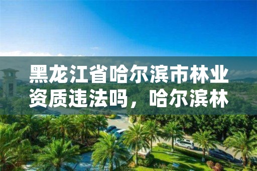 黑龙江省哈尔滨市林业资质违法吗，哈尔滨林业局管辖范围