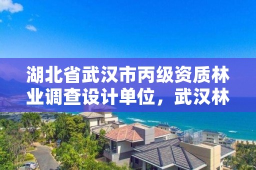 湖北省武汉市丙级资质林业调查设计单位，武汉林业公司有哪些