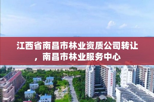 江西省南昌市林业资质公司转让，南昌市林业服务中心