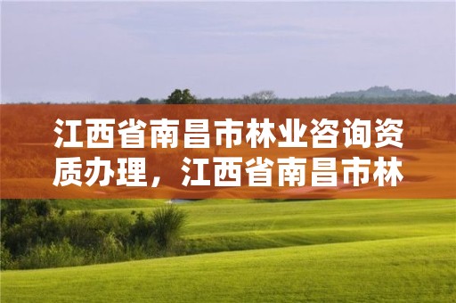 江西省南昌市林业咨询资质办理，江西省南昌市林业咨询资质办理地点