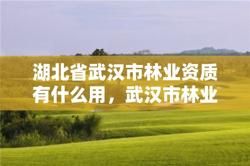 湖北省武汉市林业资质有什么用，武汉市林业发展有限责任公司