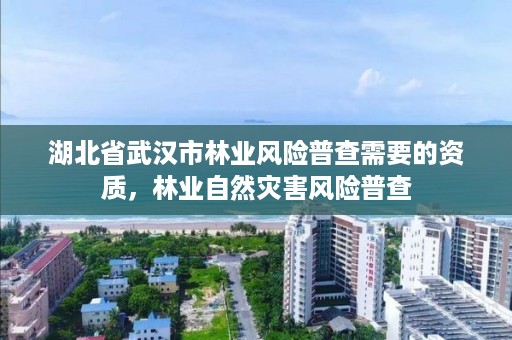 湖北省武汉市林业风险普查需要的资质，林业自然灾害风险普查