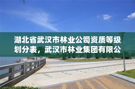 湖北省武汉市林业公司资质等级划分表，武汉市林业集团有限公司