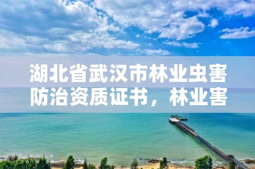 湖北省武汉市林业虫害防治资质证书，林业害虫防治创新联盟