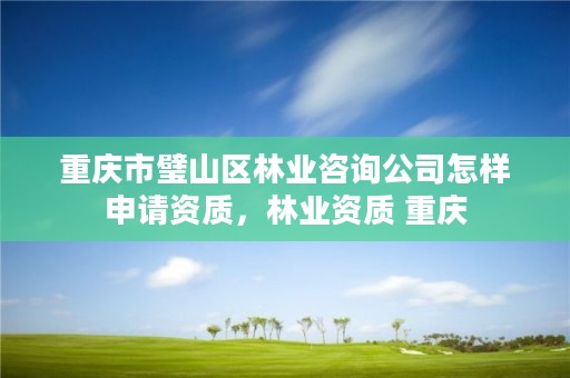 重庆市璧山区林业咨询公司怎样申请资质，林业资质 重庆