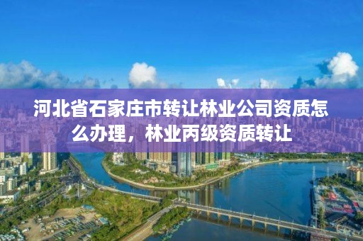 河北省石家庄市转让林业公司资质怎么办理，林业丙级资质转让