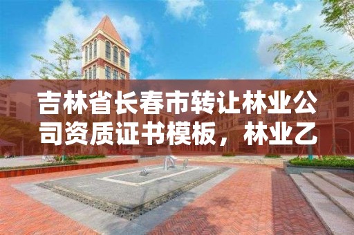 吉林省长春市转让林业公司资质证书模板，林业乙级资质转让