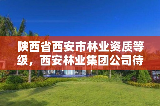 陕西省西安市林业资质等级，西安林业集团公司待遇怎么样