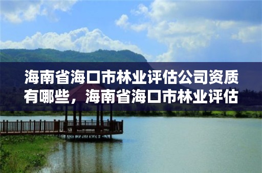 海南省海口市林业评估公司资质有哪些，海南省海口市林业评估公司资质有哪些单位