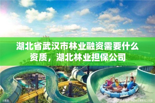 湖北省武汉市林业融资需要什么资质，湖北林业担保公司