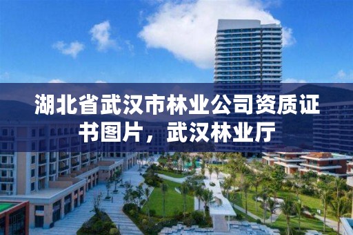 湖北省武汉市林业公司资质证书图片，武汉林业厅