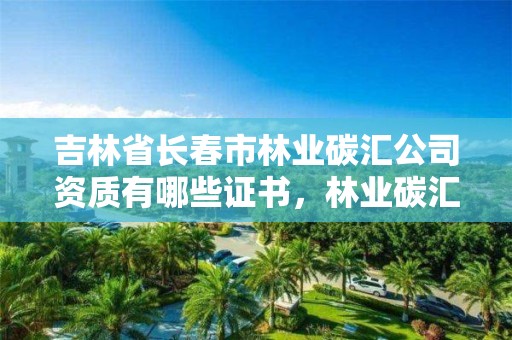 吉林省长春市林业碳汇公司资质有哪些证书，林业碳汇咨询公司