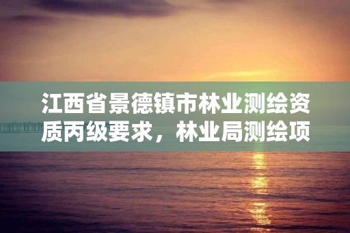 江西省景德镇市林业测绘资质丙级要求，林业局测绘项目