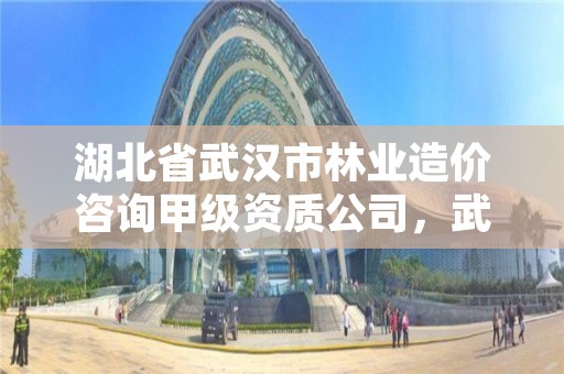 湖北省武汉市林业造价咨询甲级资质公司，武汉林业职业学校