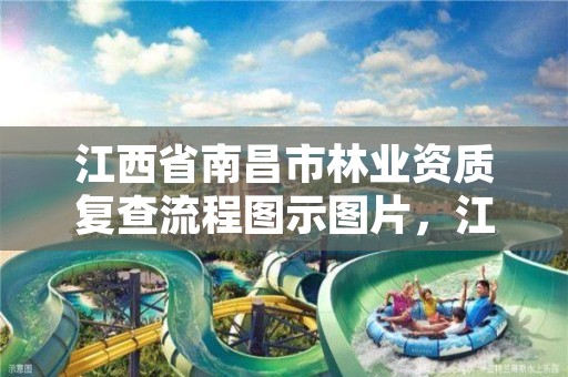 江西省南昌市林业资质复查流程图示图片，江西省南昌市林业局电话