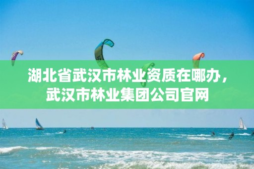 湖北省武汉市林业资质在哪办，武汉市林业集团公司官网