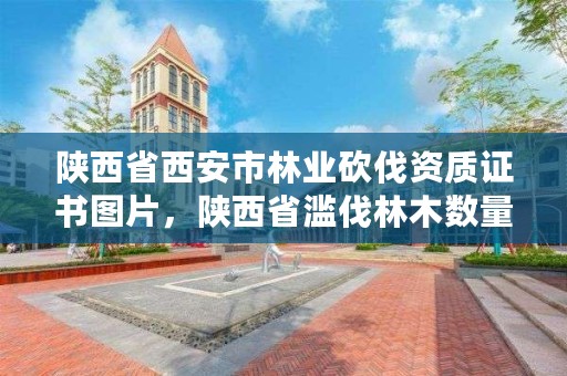 陕西省西安市林业砍伐资质证书图片，陕西省滥伐林木数量起点的规定