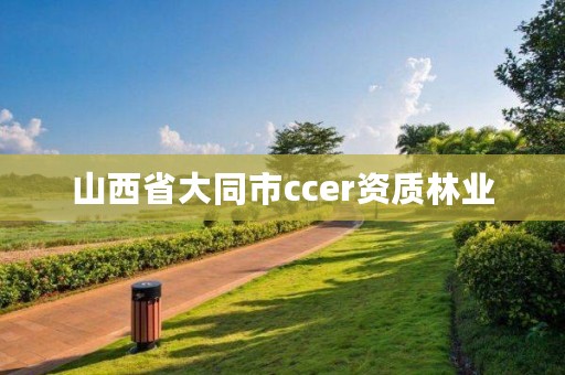 山西省大同市ccer资质林业