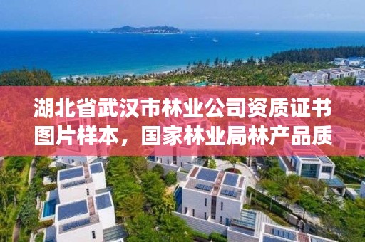 湖北省武汉市林业公司资质证书图片样本，国家林业局林产品质量检验检测中心武汉