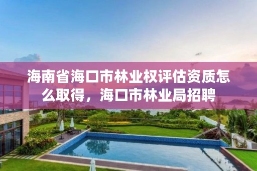 海南省海口市林业权评估资质怎么取得，海口市林业局招聘