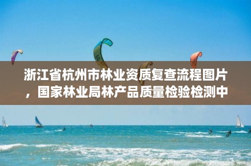 浙江省杭州市林业资质复查流程图片，国家林业局林产品质量检验检测中心杭州