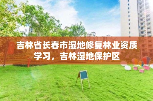 吉林省长春市湿地修复林业资质学习，吉林湿地保护区