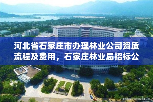 河北省石家庄市办理林业公司资质流程及费用，石家庄林业局招标公告