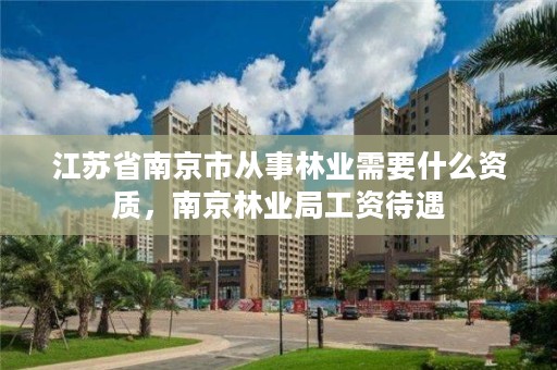 江苏省南京市从事林业需要什么资质，南京林业局工资待遇