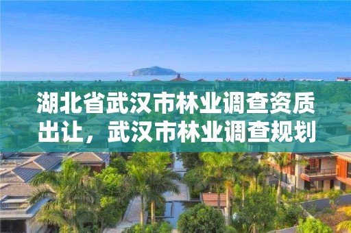 湖北省武汉市林业调查资质出让，武汉市林业调查规划设计院有限公司