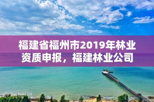 福建省福州市2019年林业资质申报，福建林业公司