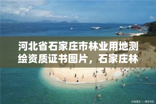 河北省石家庄市林业用地测绘资质证书图片，石家庄林业局招标公告