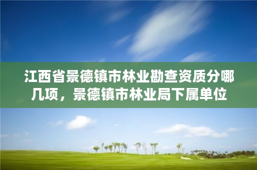 江西省景德镇市林业勘查资质分哪几项，景德镇市林业局下属单位