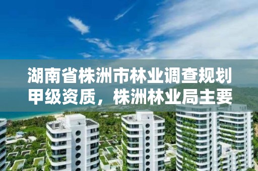 湖南省株洲市林业调查规划甲级资质，株洲林业局主要领导