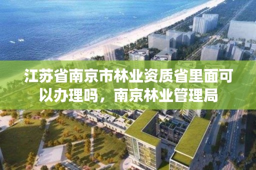 江苏省南京市林业资质省里面可以办理吗，南京林业管理局