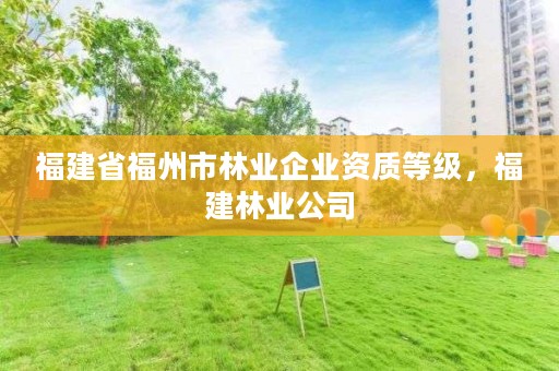 福建省福州市林业企业资质等级，福建林业公司