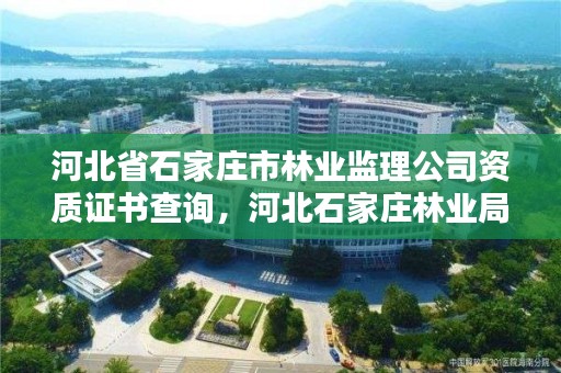 河北省石家庄市林业监理公司资质证书查询，河北石家庄林业局