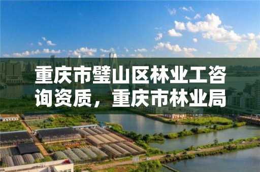 重庆市璧山区林业工咨询资质，重庆市林业局招聘信息2020