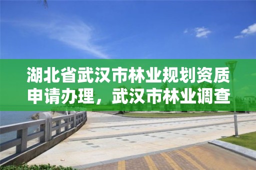 湖北省武汉市林业规划资质申请办理，武汉市林业调查规划设计院有限公司