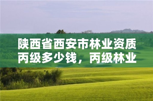 陕西省西安市林业资质丙级多少钱，丙级林业规划设计资质