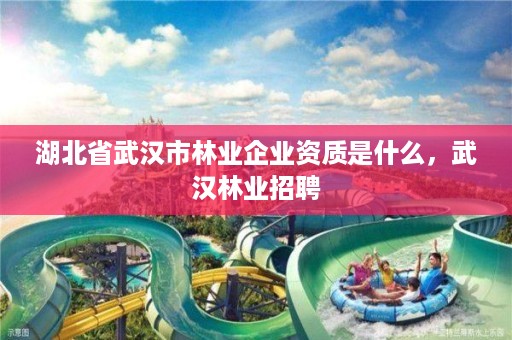 湖北省武汉市林业企业资质是什么，武汉林业招聘