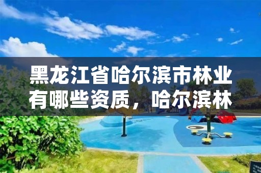 黑龙江省哈尔滨市林业有哪些资质，哈尔滨林业厅地址